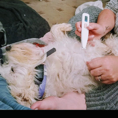 Time For a Trim